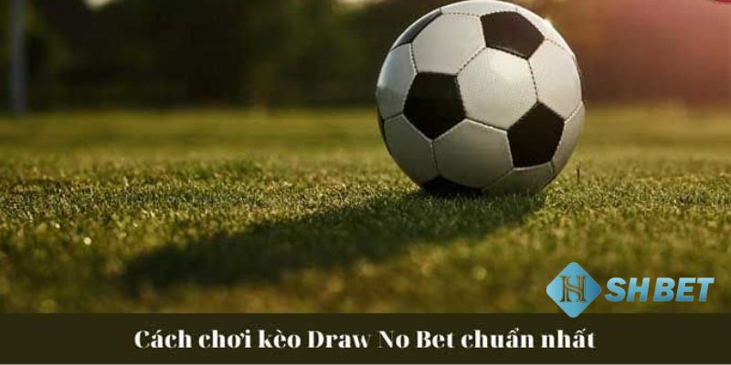 đánh kèo Draw No Bet Bật mí các kinh nghiệm đánh kèo Draw No Bet hiệu quả