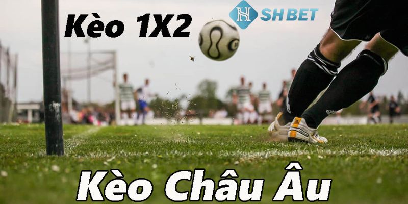Kèo bóng đá Châu Âu Giới thiệu tổng quan về Kèo bóng đá Châu Âu là gì?