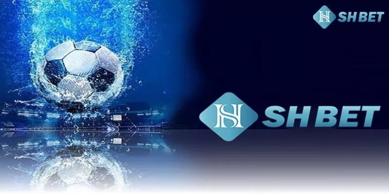 Những thành tựu ấn tượng về chúng tôi mà bạn nên biết