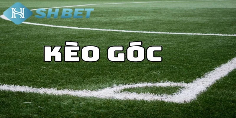 Kinh nghiệm chơi kèo phạt góc từ chuyên gia