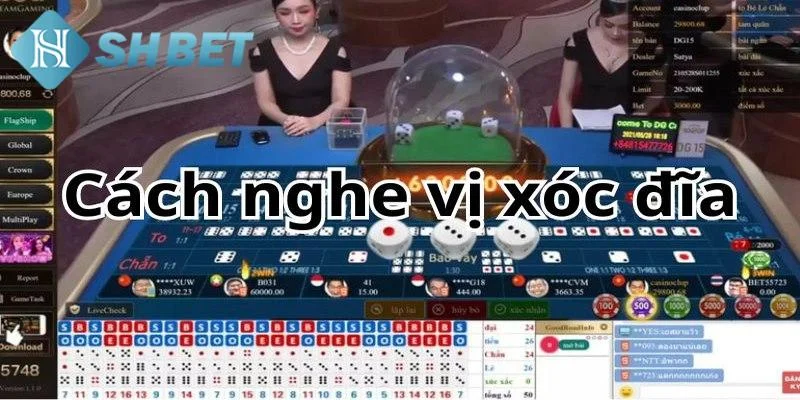 Những mẹo đọc vị xóc đĩa hiệu quả từ SHBET