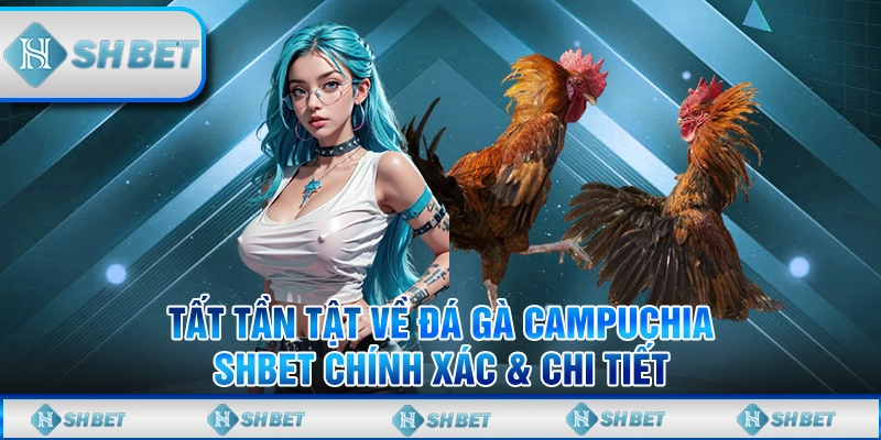 Tất Tần Tật Về Đá Gà Campuchia SHBET Chính Xác & Chi Tiết