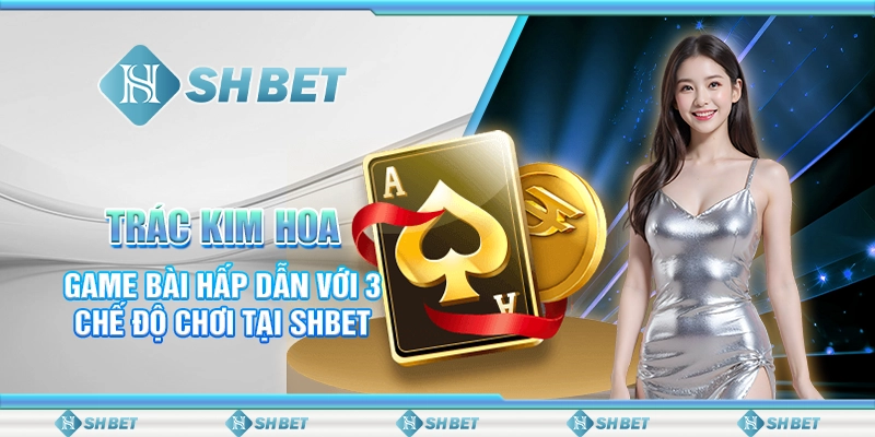Trác Kim Hoa - Game Bài Hấp Dẫn Với 3 Chế Độ Chơi Tại SHBET