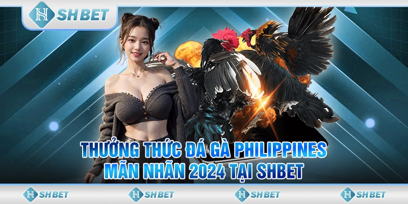 Thưởng Thức Đá Gà Philippines Mãn Nhãn 2024 Tại SHBET