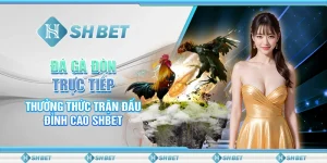 Đá Gà Đòn Trực Tiếp - Thưởng Thức Trận Đấu Đỉnh Cao SHBET
