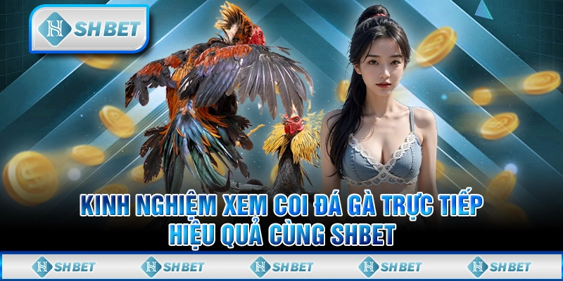 Kinh Nghiệm Xem Coi Đá Gà Trực Tiếp Hiệu Quả Cùng SHBET