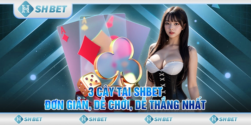 3 Cây Tại SHBET - Đơn Giản, Dễ Chơi, Dễ Thắng Nhất