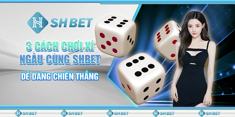3 Cách Chơi Xí Ngầu Cùng SHBET, Dễ Dàng Chiến Thắng