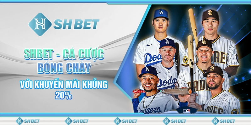 SHBET - Cá Cược Bóng Chày Với Khuyến Mãi Khủng 20%