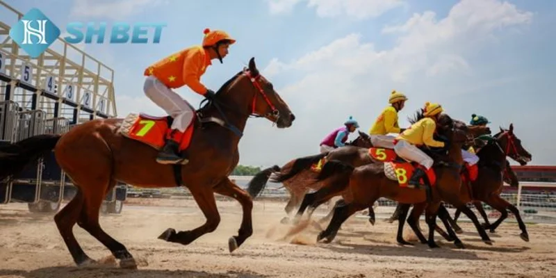 Các kèo cá cược đua ngựa phổ biến tại SHBET
