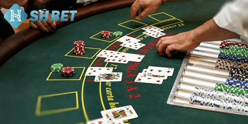Các loại bài đặc biệt khi tham gia chơi xì tố cần biết