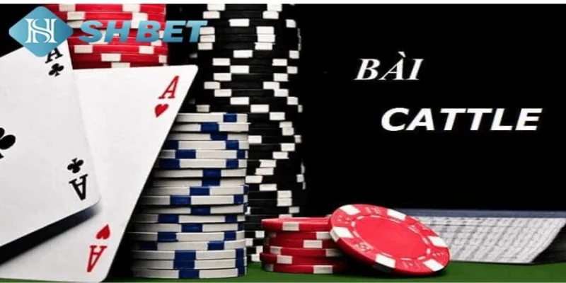 Các thuật ngữ cơ bản của game Catte