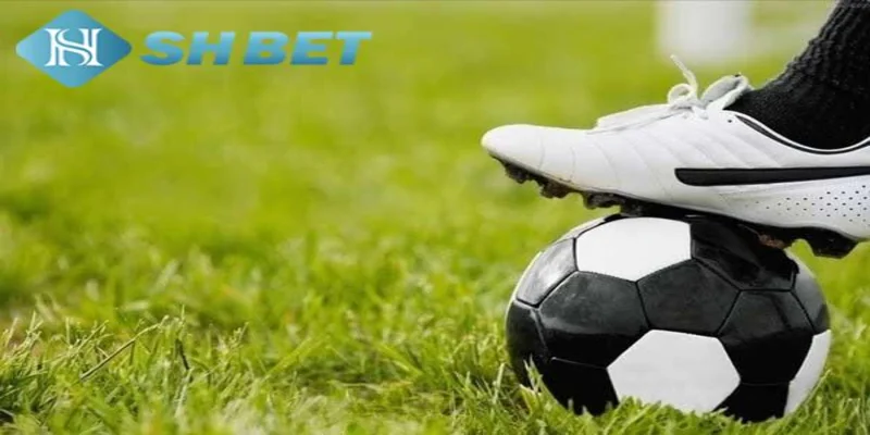 Cách đọc và phân tích kèo đồng nửa tại SHBET