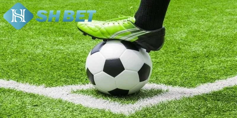 Cách đọc và tính kèo chấp tại SHBET