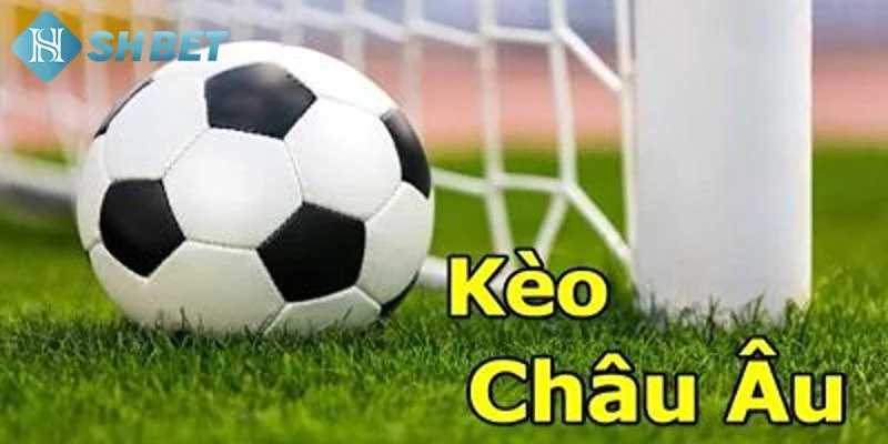 Cách tính tỷ lệ cá cược Châu Âu chi tiết nhất