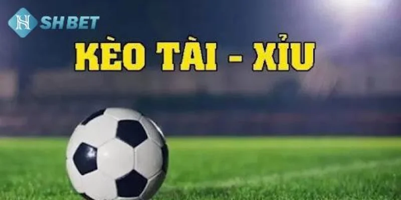 Giới thiệu tài xỉu SHBET