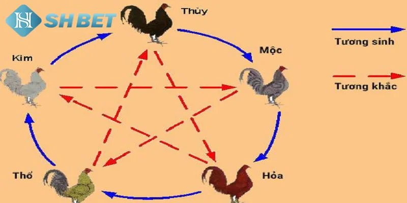 Hiểu về màu mạng gà đá chuẩn xác nhất hiện nay