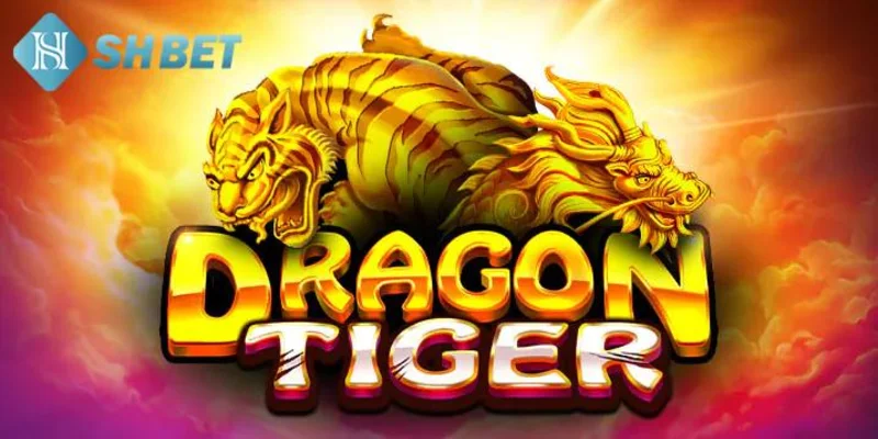 Hướng dẫn cách chơi rồng hổ cực đơn giản cho newbie tại SHBET