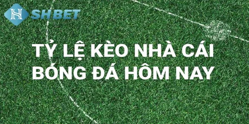 Khái niệm cơ bản về nhận định kèo nhà cái