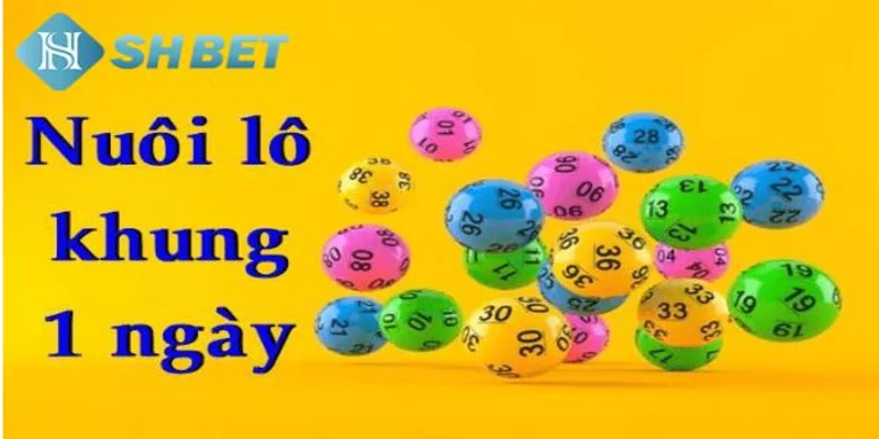 Khái niệm về lô nuôi khung 1 ngày là gì?