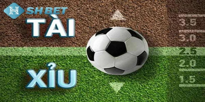 Kinh nghiệm soi kèo tài xỉu 2.5 hiệu quả