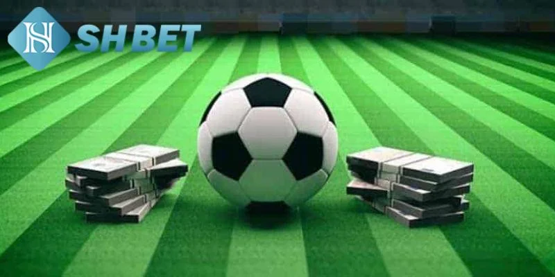 Lưu ý quan trọng khi tham gia tại SHBET