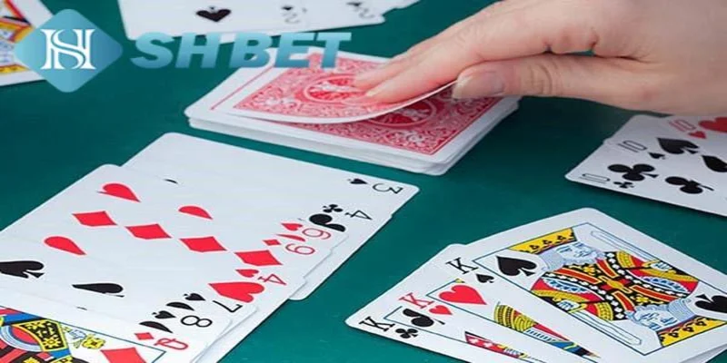 Lý do nên chơi phỏm tá lả tại nhà cái uy tín SHBET