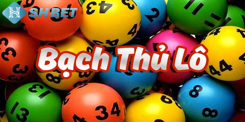 Mách nhỏ cách soi cầu bạch thủ được dân chơi tiết lộ
