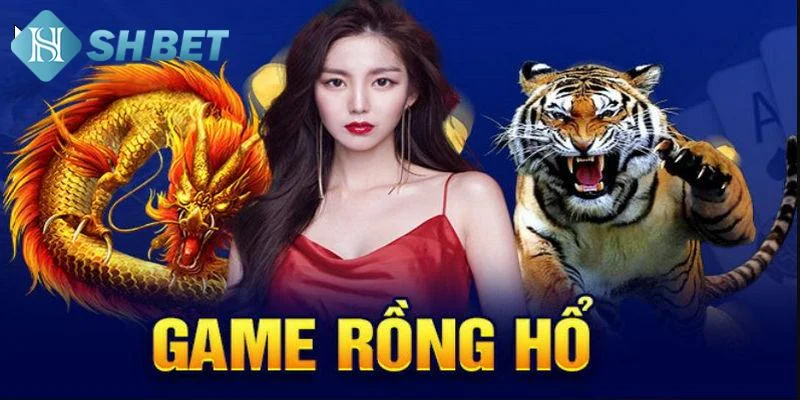 Những lưu ý cần biết khi áp dụng mẹo đánh rồng hổ