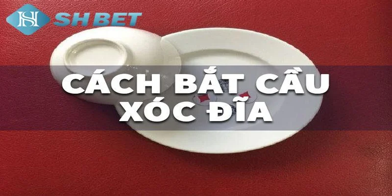Cẩm nang soi cầu Xóc Đĩa từ A - Z từ dân chuyên của SHBET