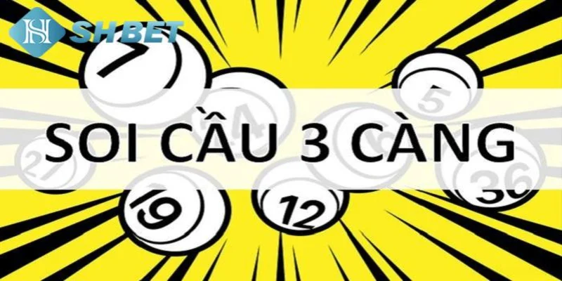 Tìm hiểu về đề 3 càng là gì