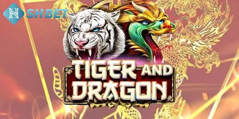 Tổng quan về game rồng hổ