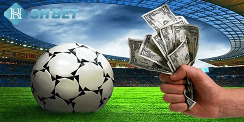 Xem xét và đặt cược ở 1 trận đấu bất kỳ