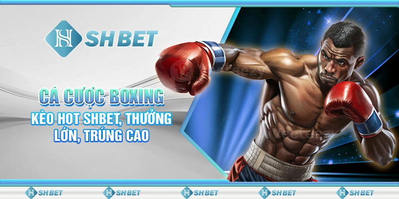Cá Cược Boxing - Kèo Hot SHBET, Thưởng Lớn, Trúng Cao