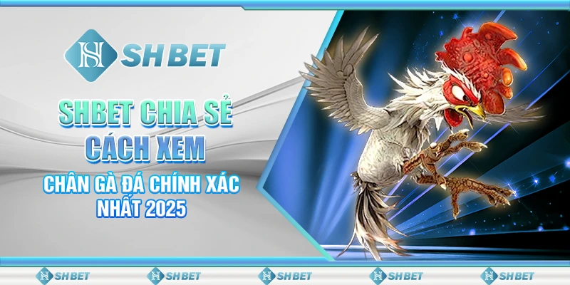 SHBET Chia Sẻ Cách Xem Chân Gà Đá Chính Xác Nhất 2025