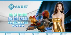 Đá Gà Online Cựa Dao SHBET - Cựa Sắc Bén, Giao Tranh Đỉnh