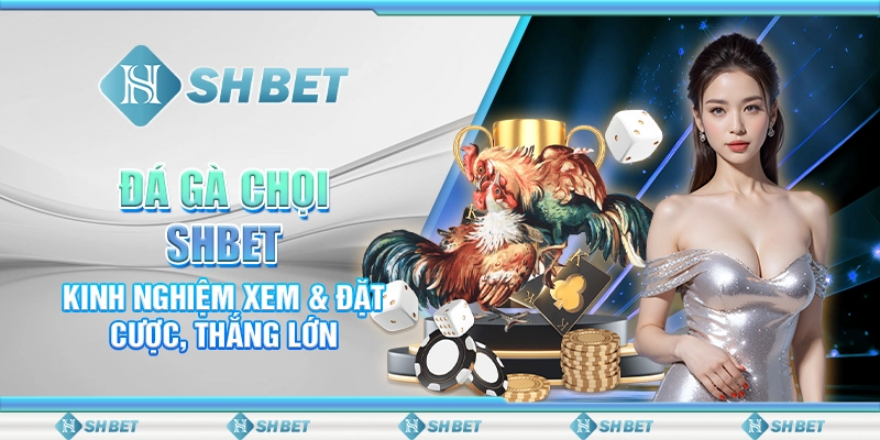 Đá Gà Chọi SHBET Đỉnh Cao, Kinh Nghiệm Xem Cược Thắng Lớn 