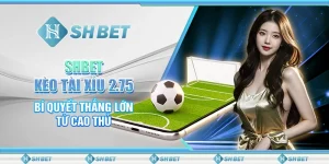 SHBET - Kèo Tài Xỉu 2.75, Bí Quyết Thắng Lớn Từ Cao Thủ