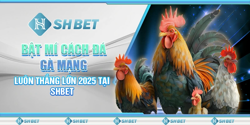 Bật Mí Cách Đá Gà Mạng Luôn Thắng Lớn 2025 Tại SHBET
