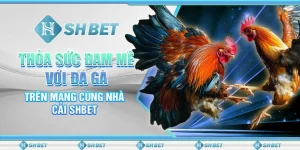 Thỏa Sức Đam Mê Với Đá Gà Trên Mạng Cùng Nhà Cái SHBET