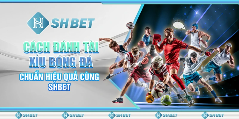 Cách Đánh Tài Xỉu Bóng Đá Chuẩn Hiệu Quả Cùng SHBET