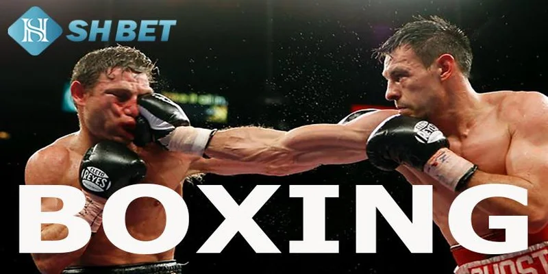Cá cược boxing tại SHBET