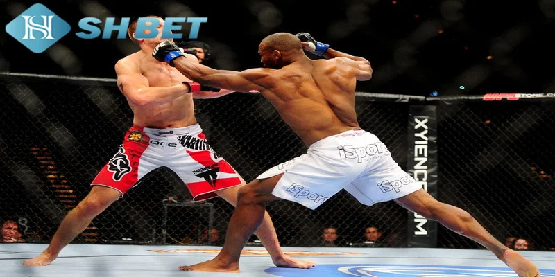Hướng dẫn cách tham gia cá cược boxing tại SHBET