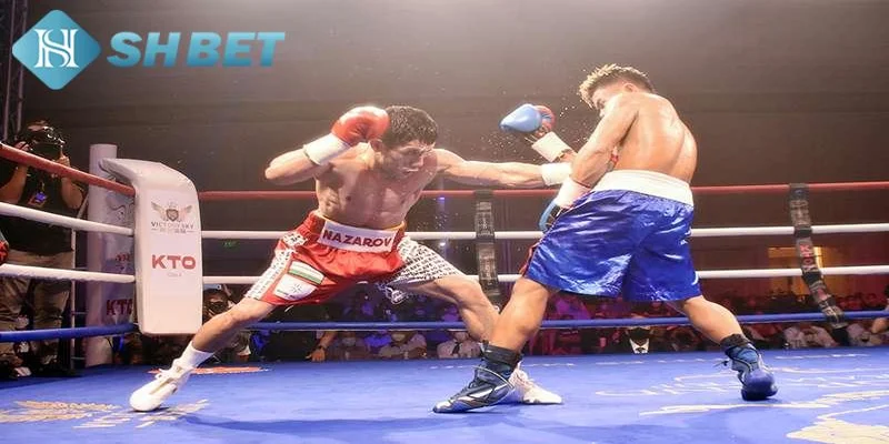 Lý do cá cược boxing thu hút người chơi
