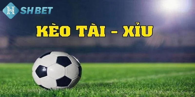 Tìm hiểu chuẩn chỉ về cách đánh Tài Xỉu bóng đá