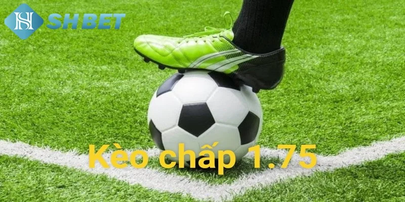 Phân tích đặc điểm của kèo chấp 1.75