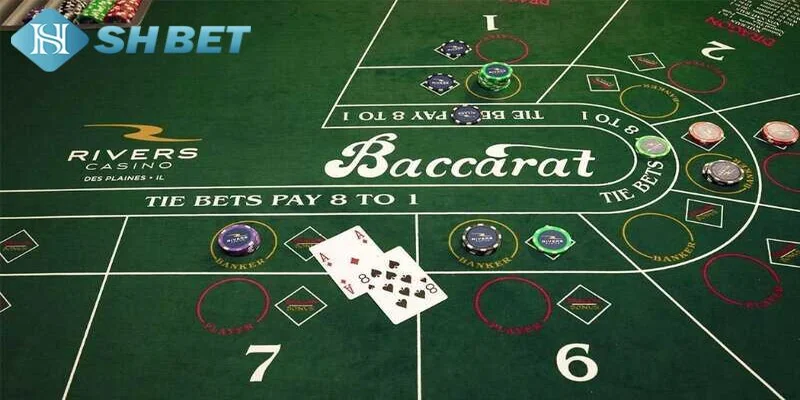 Cách chơi Tie Baccarat hiệu quả